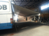 Onibus